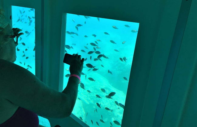 Glass Bottom Boat Cruise - Photo 3