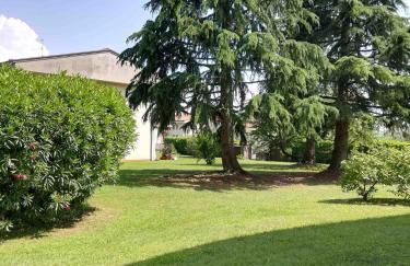 Prato Verde - Girasole - Foto 20