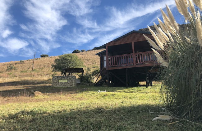 Groenhoek Game and Guest Farms - Foto 58