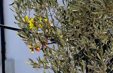 Tantulia la casita del Caballo - Foto 33