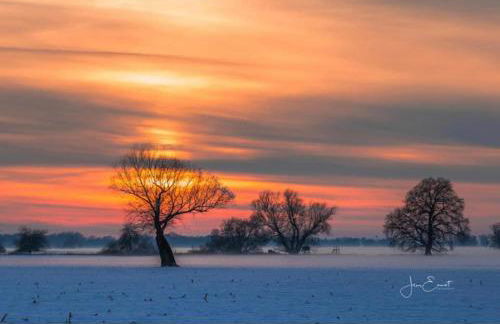 Gnaden- und Ferienhof Saale Wittgenstein in the middle of gar nix - Foto 76