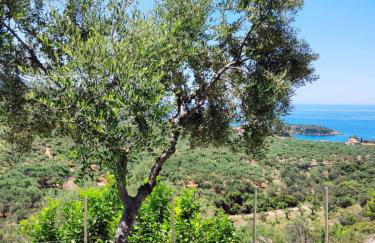 Athina's Stone House in Kardamyli - Foto 26