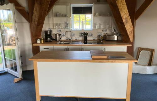 Windmühle am Fluss in Altfunnixsiel - Foto 6