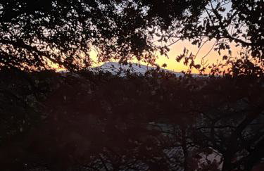 Les terrasses du château - Foto 24