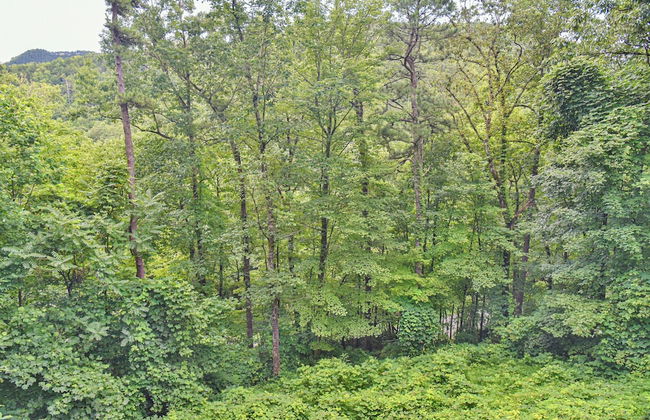 Bair Necessities relaxing Cabin - Foto 38