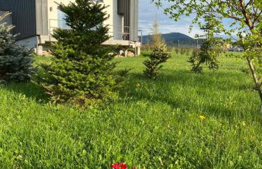 Stodoła 55 - Foto 9