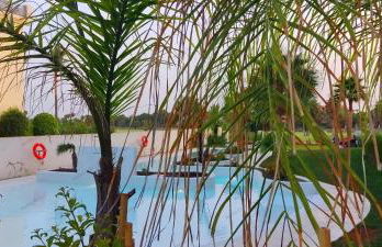 Kentia golf Playa Granada - Foto 4