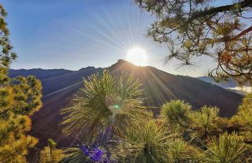 Casa Julián - Foto 18