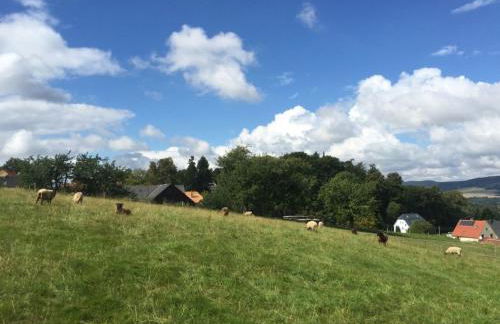 Apartment Helle und moderne Ferienwohnung mit Terrasse by Interhome - Foto 6