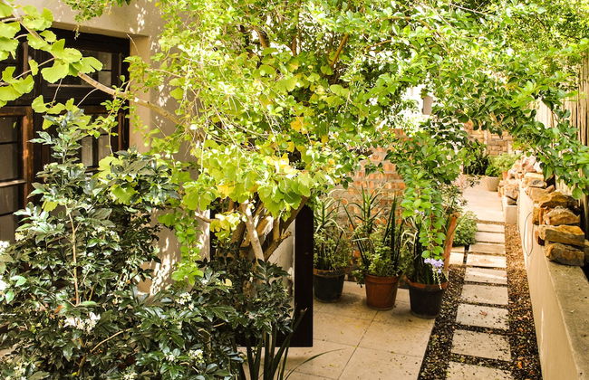 Wessels House Studio - Foto 18