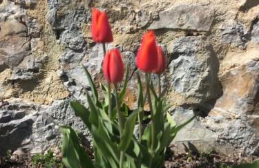 Agriturismo Tripala - Foto 70