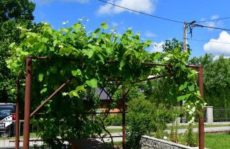 Apartman Jelena - Foto 23