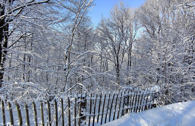 Chalet in the Woods With Nordic Bath - Photo 28