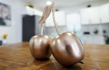 Cozy Tampa Getaway, 2 Bedrooms, minutes from Downtown & Busch Gardens - Foto 22