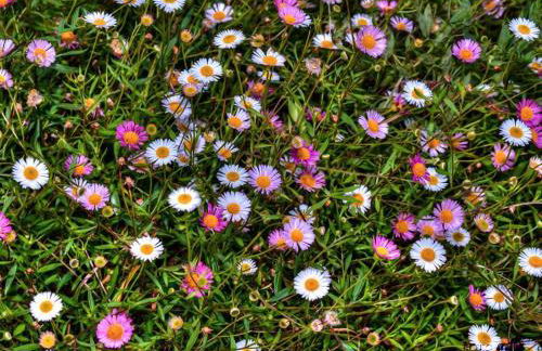 Corte del Rondiellu 2 - Photo 30