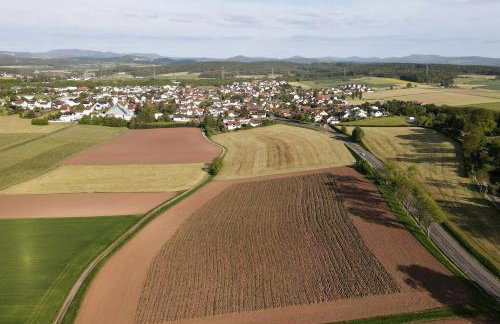 Rhönland - Souterrain-Studio in Künzell - Fulda - Foto 17