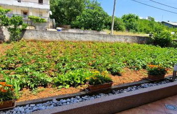 Apartments Pinezić - Foto 48