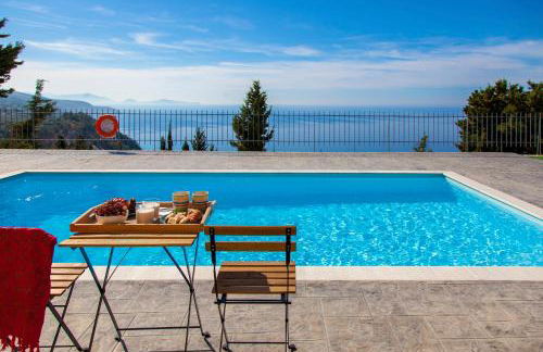 Ble on Blue - Photo 9