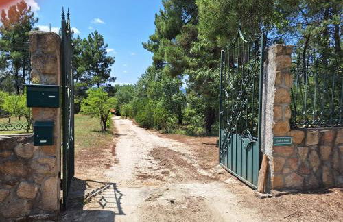 Quinta da Portela - Foto 15