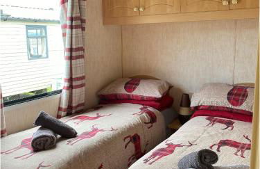 The Wee Sprout - Foto 21