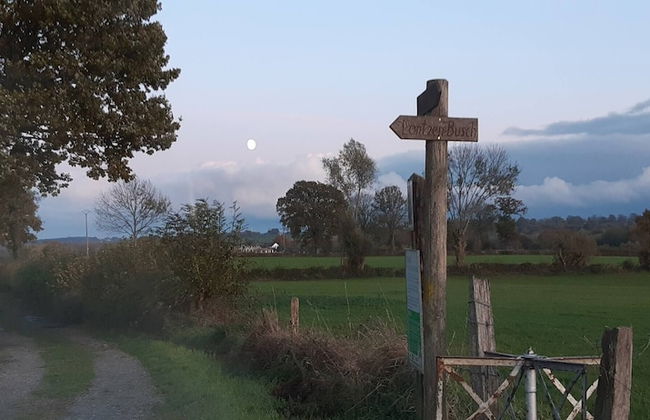 Beautiful Charming Wooden House - Foto 41