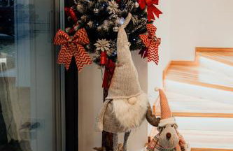 Mazurskie Niebo Apartament 1 - Foto 67