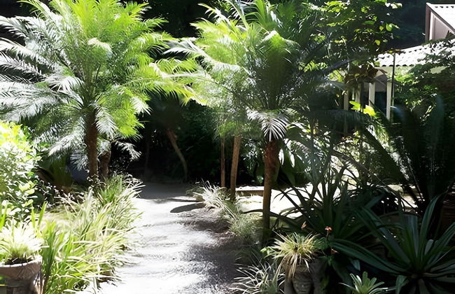 Casa Naranja - Photo 17