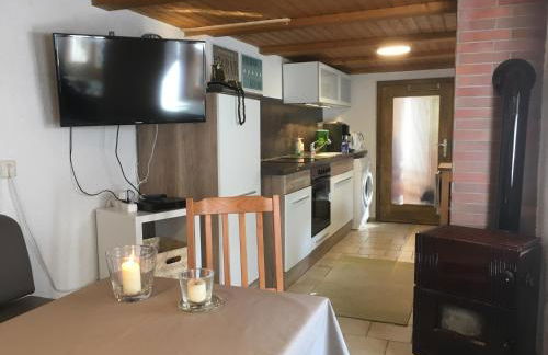 Burgruine Schöllnstein - Foto 10