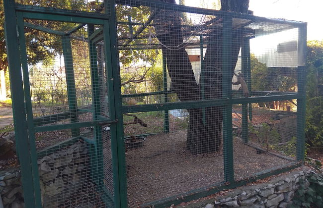 Casa dos Arrábidos - Foto 52