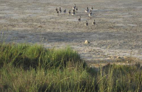 Brezza di Mare - Foto 18