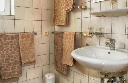 Pension und Ferienwohnungen Bachmann - Foto 21