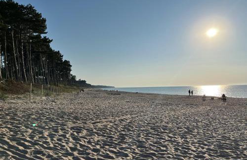 Domki Zalesie - Foto 43