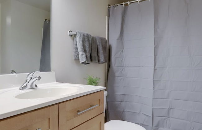 Incredible Apt in Pentagon City - Foto 25