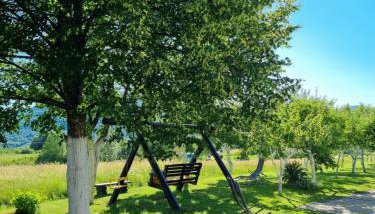 Apartment Rosandić - Foto 5, Garden, sunbed