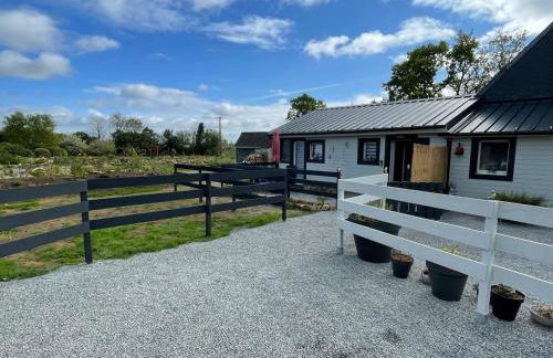 Lieu paisible et indépendant - Foto 20