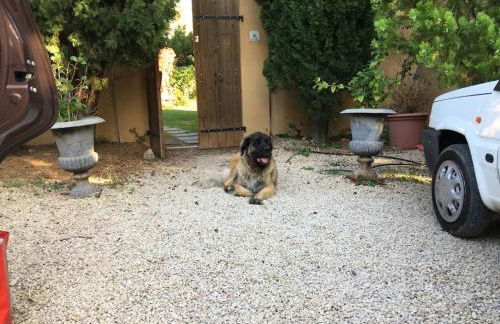 FLC - Large Charming House - Swimming Pool - Foto 38