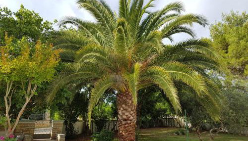 Villa Rosa with yard and children's playground - Foto 2, Garden, Garden view