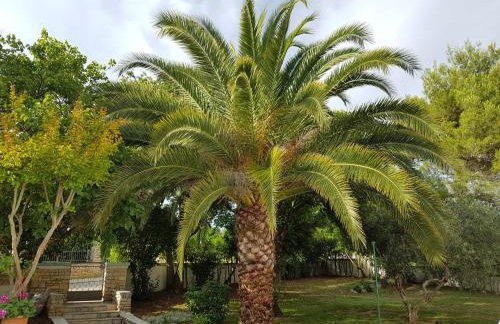 Villa Rosa with yard and children's playground - Foto 2