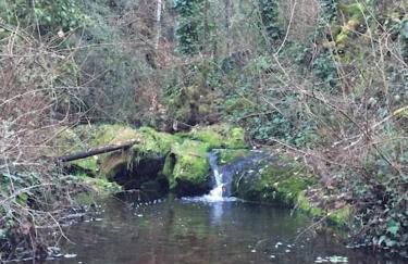 Chalet con piscina en la naturaleza - Foto 28