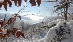 Ferienwohnungen Eismecke - Foto 3