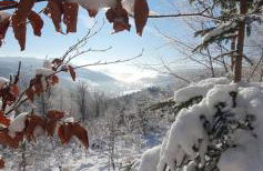 Ferienwohnungen Eismecke - Foto 3