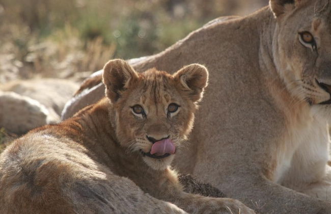 Uplands Homestead - Photo 29