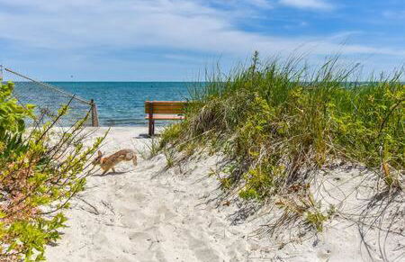 3 Min Walk to Beach Large Fenced Yard - Foto 31