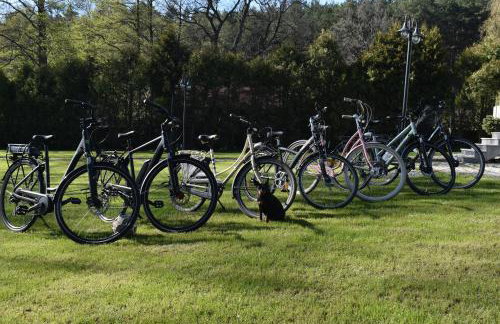 Apartament Złoty 2 - Foto 22