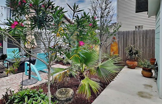 Lost Palms - Foto 32