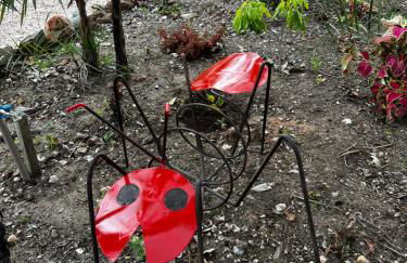 Rancho Aroeira - Foto 12