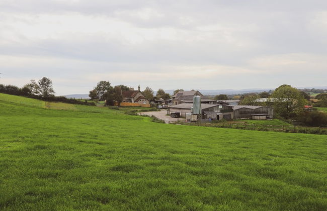 Cosy Rural Lodge at Goldhill Glamping - Sleeps 4 - Foto 20