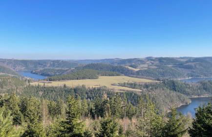 AR Apartments II I 5 Pers I Prime I Küche I WLAN I am Thüringer Meer - Foto 48