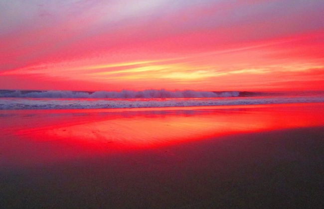 1-Bedroom Near Pool - Photo 46