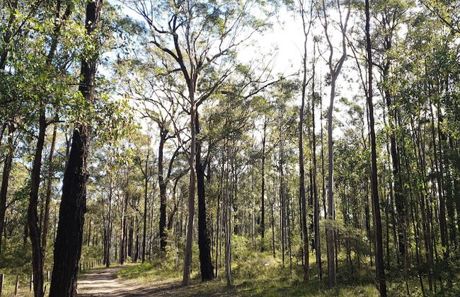 Woodlane Cottages - Foto 46